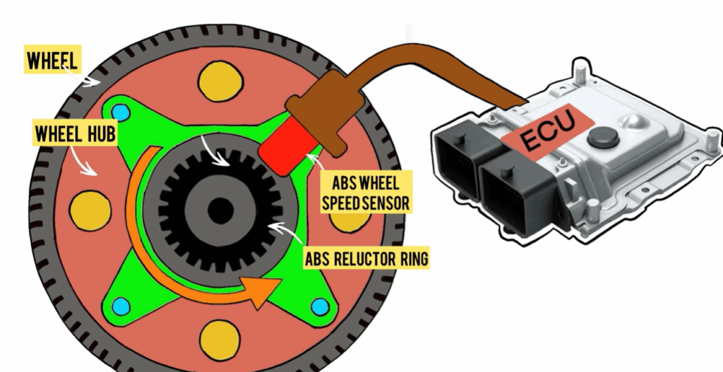 wheel speed sensor location near wheel hub and tone ring